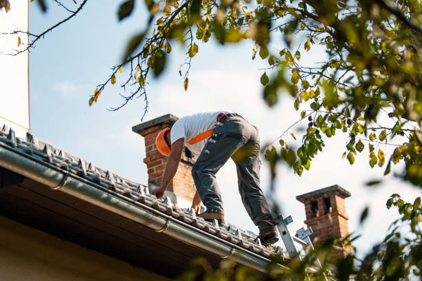 Best Flat Roofing  in Lowell, IN
